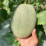 河南夏邑晓蜜25号大量上市3-7斤全国发货
