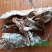 黄山农家手工烘制毛笋干，一手货源，视频看货，对接商超市场