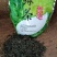 安徽绿茶厂家一手货源，货量充足质量保证，欢迎致电