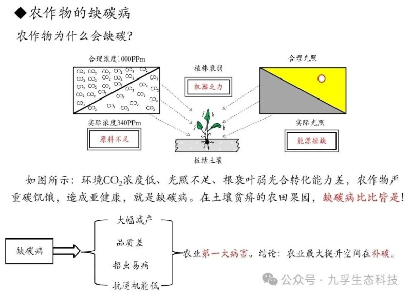 液态小分子有机碳肥