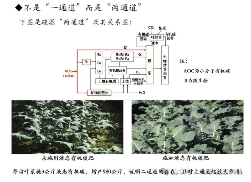 液态小分子有机碳肥