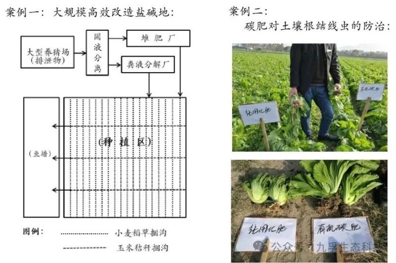 液态小分子有机碳肥