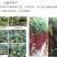 液态小分子有机碳肥