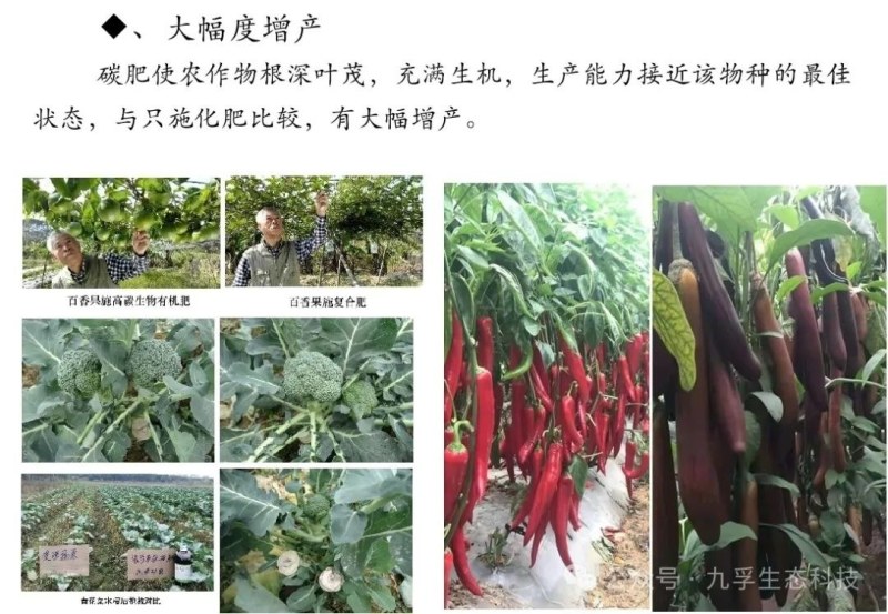 液态小分子有机碳肥