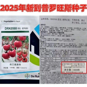 普罗旺斯西红柿种子沙瓤口感柿子种子口感草莓番茄种子