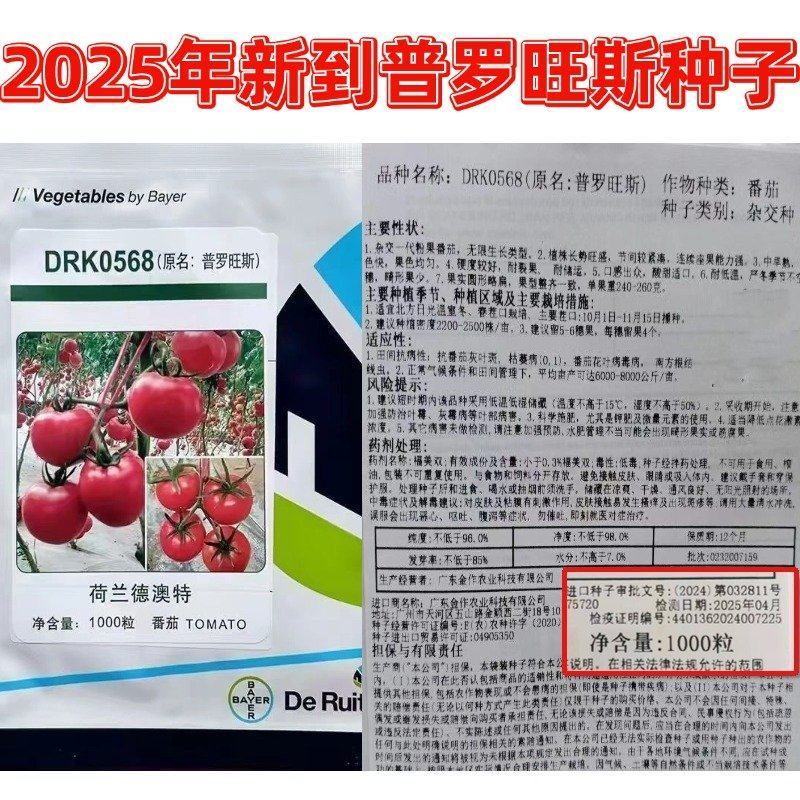 普罗旺斯西红柿种子沙瓤口感柿子种子口感草莓番茄种子
