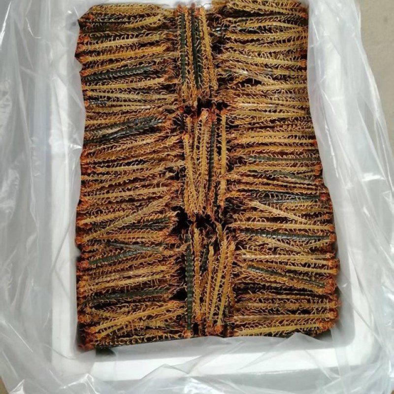 精品蜈蚣直皮，趴皮，蝎子