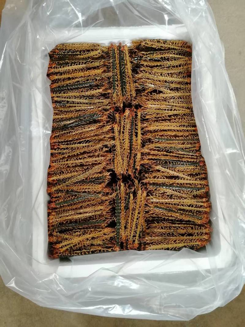 精品蜈蚣直皮，趴皮，蝎子