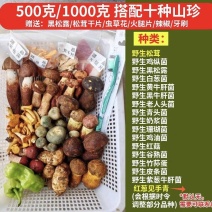 鲜野生菌火锅汤包（10种山珍）