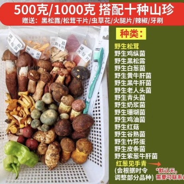 鲜野生菌火锅汤包（10种山珍）