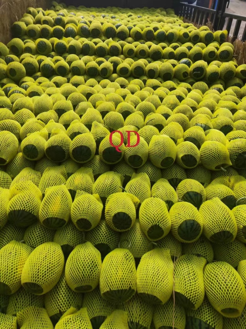 潍坊大型网套加工厂水果蔬菜以及陶瓷防震裂美观可来单加工