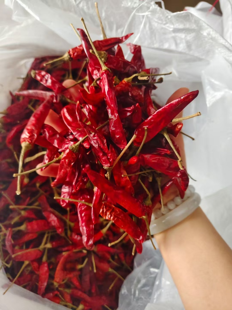 干辣椒印度魔鬼干辣椒大量有货支持零售批发