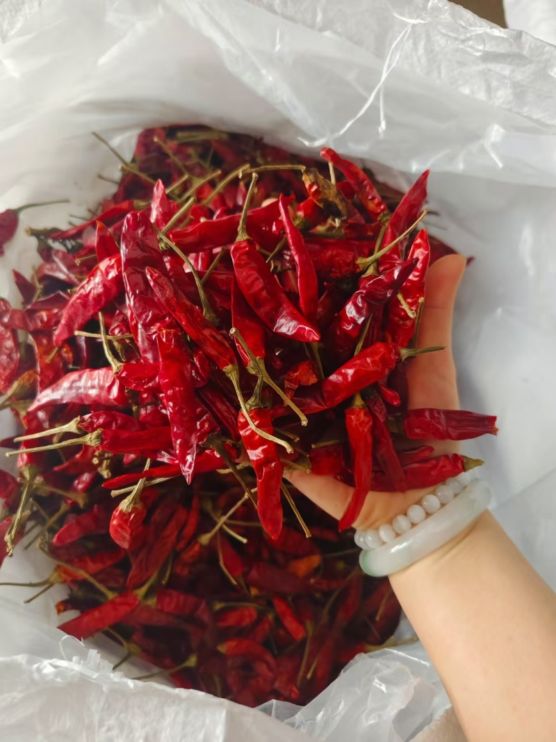 干辣椒印度魔鬼干辣椒大量有货支持零售批发