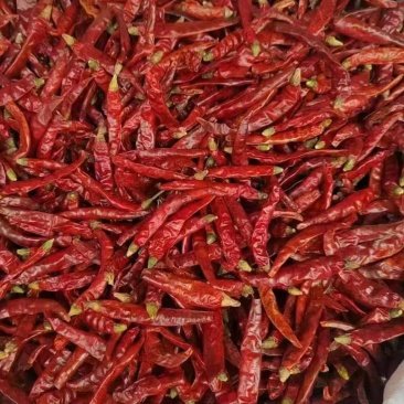 干辣椒印度魔鬼干辣椒大量有货支持零售批发