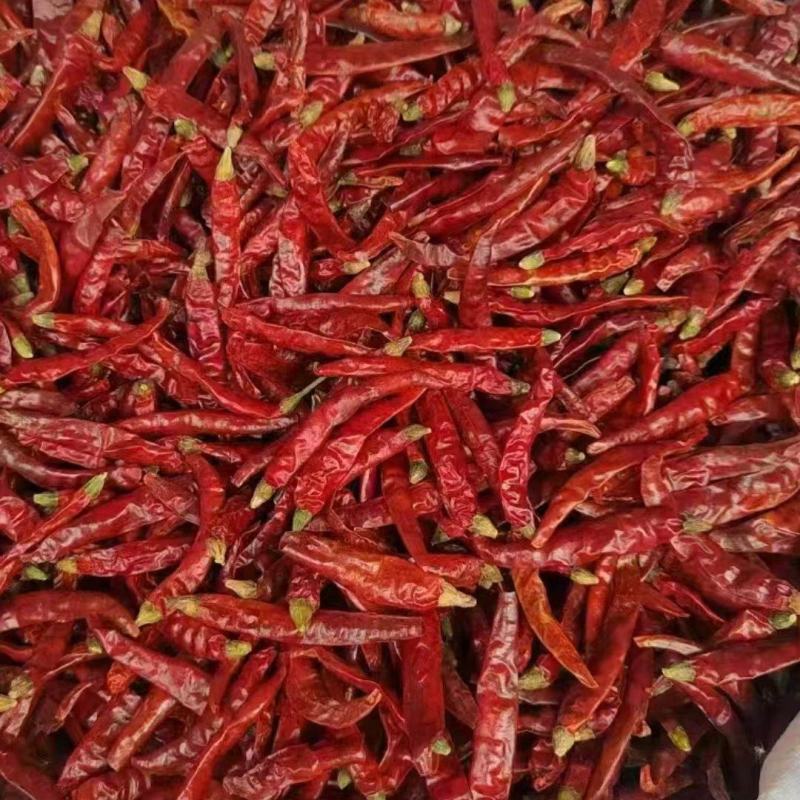 干辣椒印度魔鬼干辣椒大量有货支持零售批发