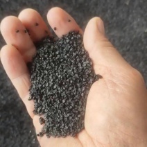 【荐】黄皮洋葱种籽二代九零大黄新地栽种亩产十吨,100g