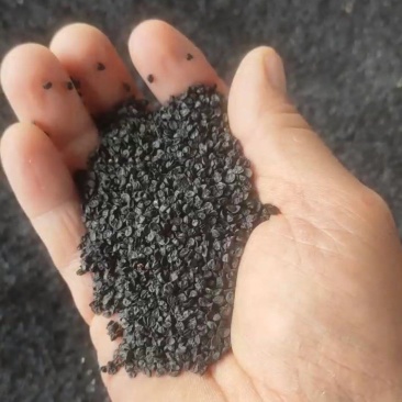 【荐】黄皮洋葱种籽二代九零大黄新地栽种亩产十吨,100g