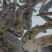 娃娃鱼人工养殖娃娃鱼基地，大量批发人工养殖娃娃鱼大鲵