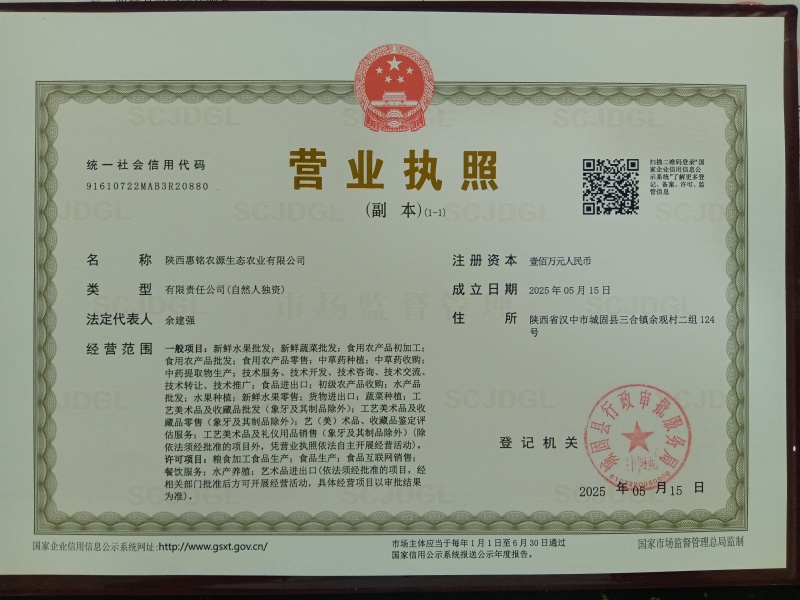 娃娃鱼人工养殖娃娃鱼基地，大量批发人工养殖娃娃鱼大鲵