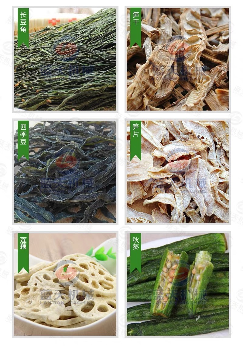 长豆角烘干机大型干豆角烘干房干豆角加工设备干豇豆加工机