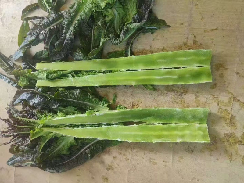 兰州高原夏菜