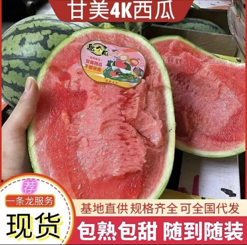 陕西甘美4K西瓜产地直发，货源充足诚信经营欢迎来电咨询