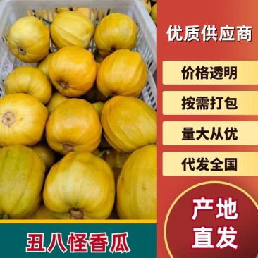 【优质推荐】香瓜丑八怪香瓜大量上市价格美丽欢迎老板咨询