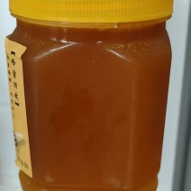 土蜂蜜原蜜常年