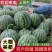 《农户自种》大棚瓜/大棚美都西瓜/重庆西瓜/重庆美都西瓜