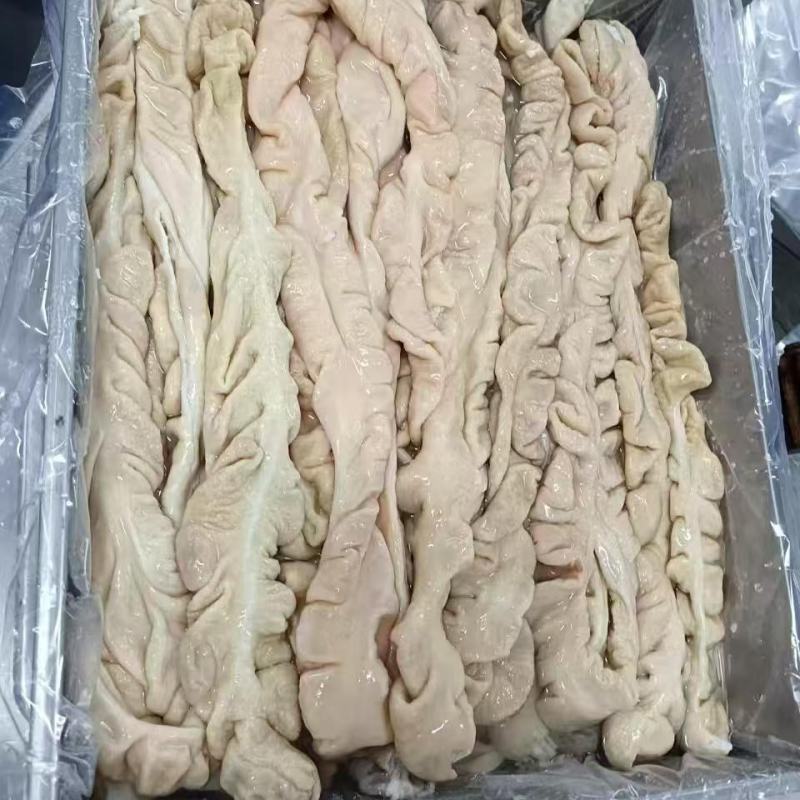 对接全国市场猪大肠，欢迎各地区老板选购，正在热卖中