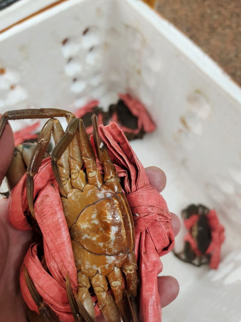 膏蟹