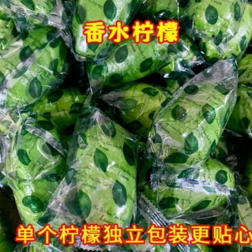 台湾香水柠檬/子弹头柠檬/无籽青柠檬