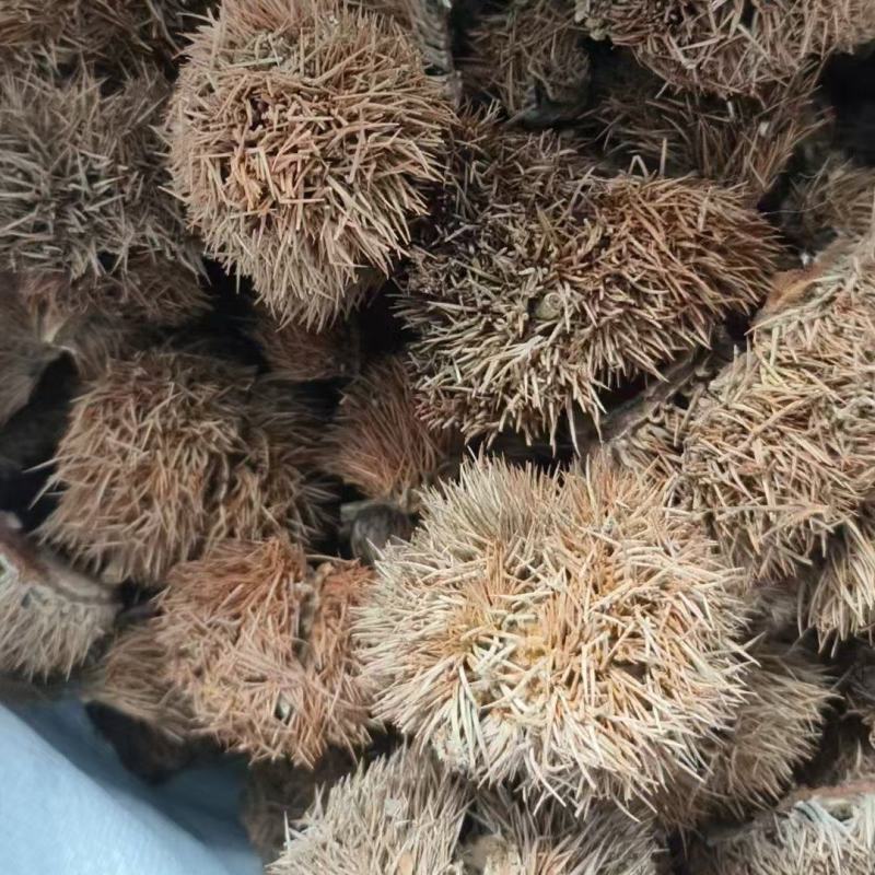 板栗壳干货板栗壳欢迎选购！量大从优！
