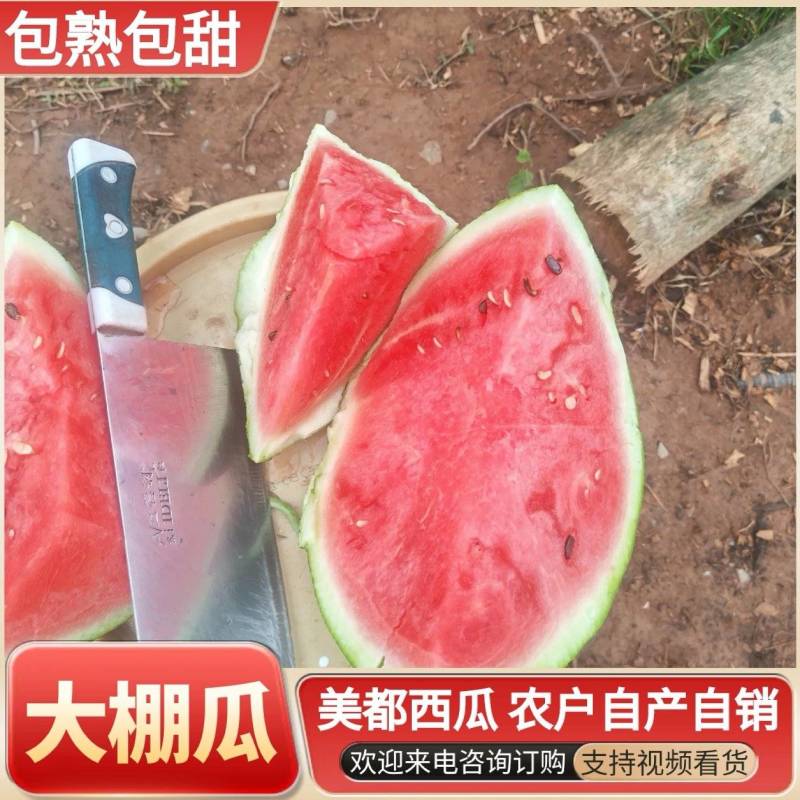 《包熟包甜》大棚美都西瓜/重庆西瓜/10斤打底九成熟头茬