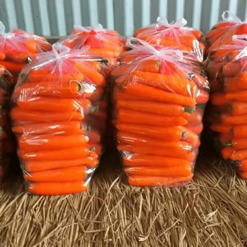 【每日推荐】河南三红胡萝卜大量上市产地直发品质保障可视频