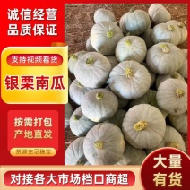 银栗南瓜产地一手货源对接电商平台超市档口国外出口长期合作