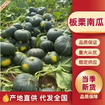 板栗南瓜产地一手货源，基地对接电商平台超市档口，国外出口