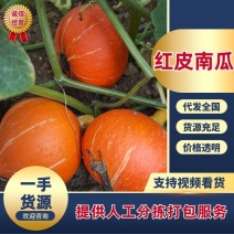 产地红皮南瓜红金瓜太阳瓜，基地一手货源，长期供应合作