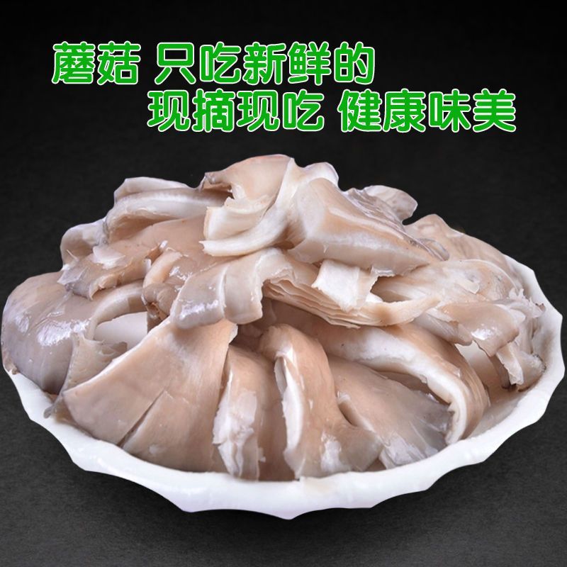 【不出菇包赔】家庭种植蘑菇菌包食用菌棒蘑菇种植包食用