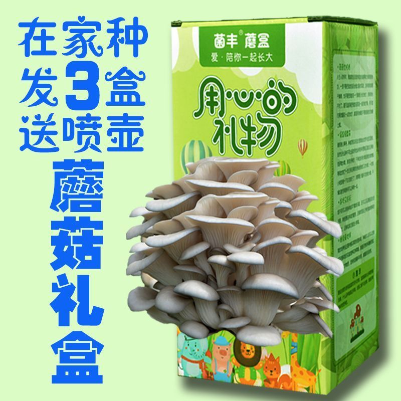 包邮【不出菇包赔】家庭种植蘑菇菌包食用菌棒蘑菇种植包食用