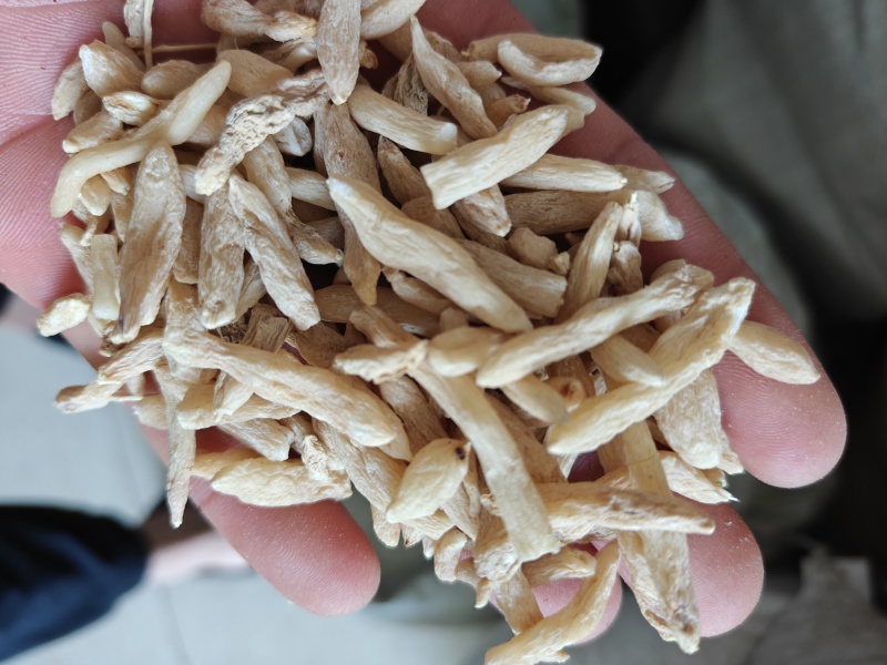 麦冬山麦冬统水洗货新货关书药业批发中药材