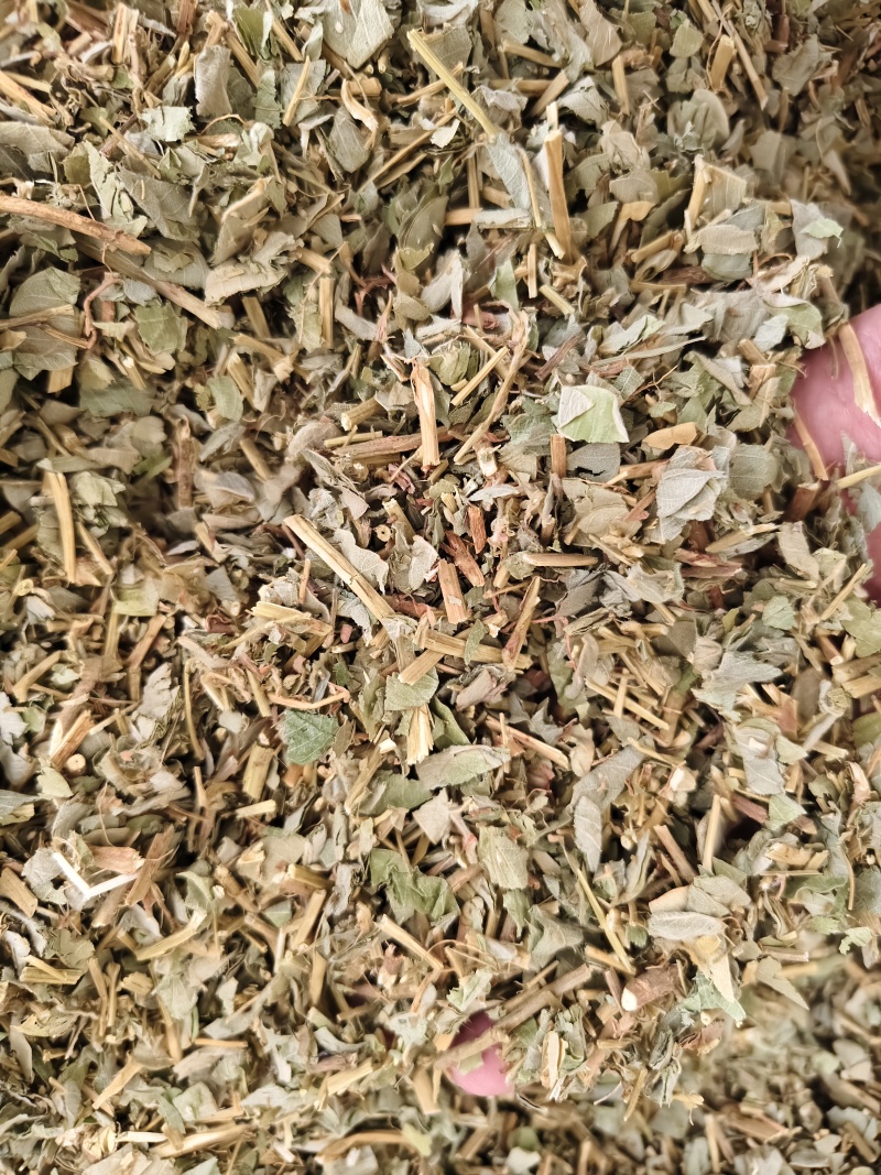 广金钱草正宗广金钱草中药材大叶金钱草散装批发除尘去沫