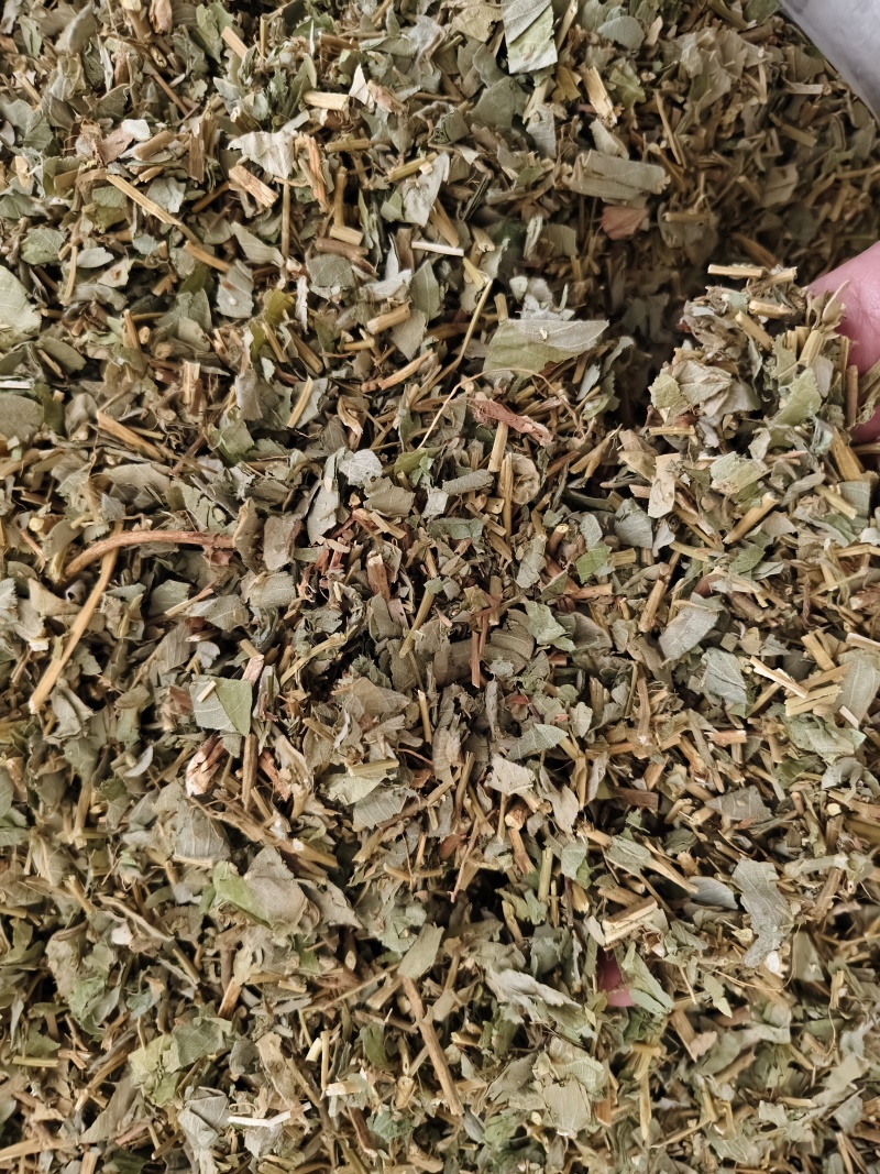 广金钱草正宗广金钱草中药材大叶金钱草散装批发除尘去沫