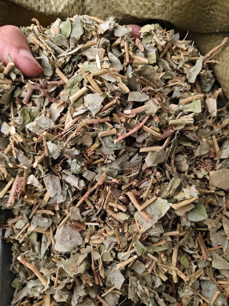广金钱草正宗广金钱草中药材大叶金钱草散装批发除尘去沫