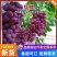 云南宾川精品红提葡萄，色泽鲜艳口感脆脆产地直供一手好货源