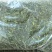 速冻荠菜，精品荠菜，东台荠菜，野生荠菜，野生荠菜。