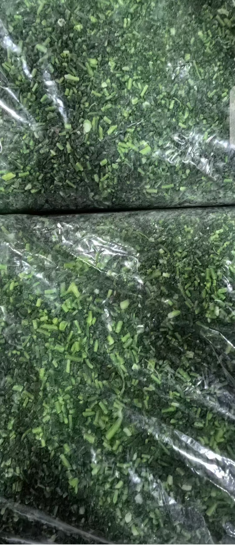 速冻荠菜，精品荠菜，东台荠菜，野生荠菜，野生荠菜。