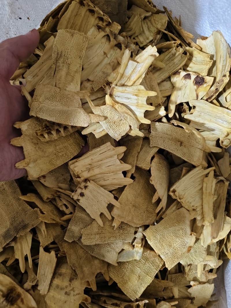 鳖甲中药材鳖甲各种规格齐全醋鳖甲散装批发
