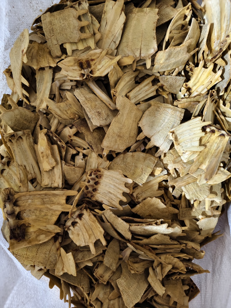 鳖甲中药材鳖甲各种规格齐全醋鳖甲散装批发