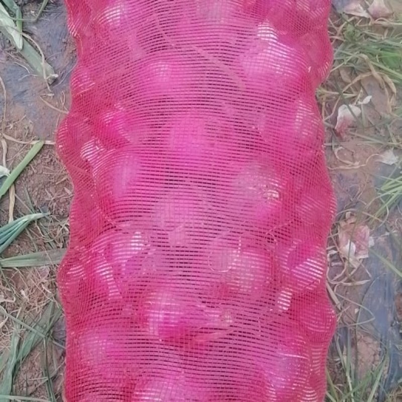 二红洋葱大量现货，